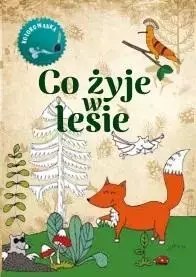 Co żyje w lesie Kolorowanka Co żyje w lesie Kolorowanka