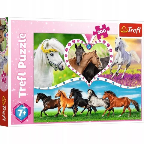 Puzzle 200 elementów. Piękne konie Puzzle 200 elementów. Piękne konie