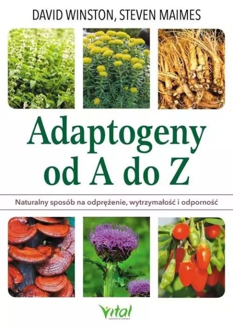 Adaptogeny od A do Z. Naturalny sposób na odprężenie, wytrzymałość i odporność Adaptogeny od A do Z. Naturalny sposób na odprężenie, wytrzymałość i odporność