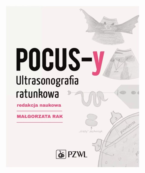 POCUS-y Ultrasonografia ratunkowa POCUS-y Ultrasonografia ratunkowa