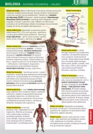 Karta edukacyjna. Biologia - budowa człowieka - układy