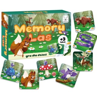 Memory Las