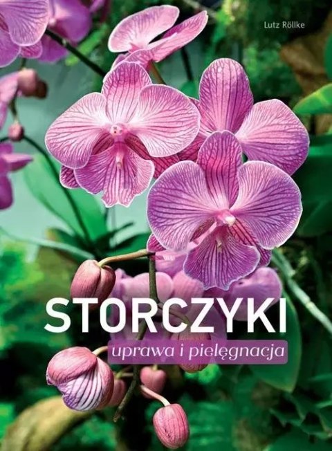 Storczyki. Uprawa i pielęgnacja Storczyki. Uprawa i pielęgnacja