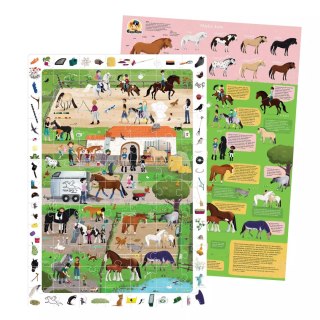 CzuCzu. Puzzle obserwacyjne. Stadnina koni