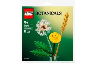 LEGO BOTANICALS Kwiaty polne saszetka 30701