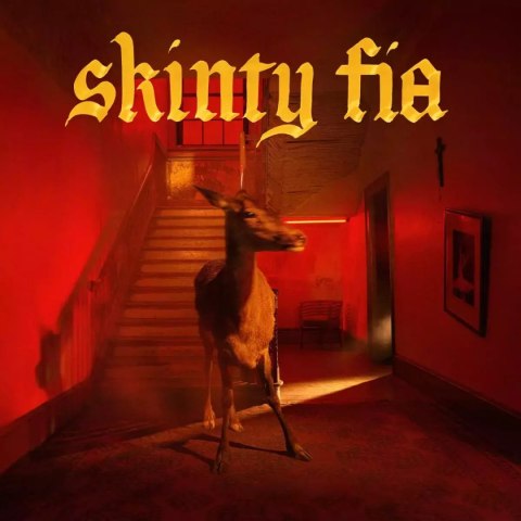 Skinty Fia, CD Skinty Fia, CD