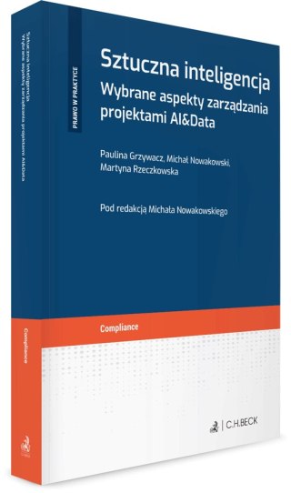 Sztuczna inteligencja. Wybrane aspekty zarządzania projektami AI&Data