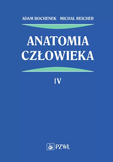 Anatomia człowieka. Tom 4 Anatomia człowieka. Tom 4