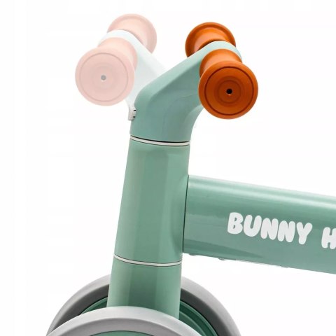 Baby Mix jeżdzik Bunny Hop zielony biegowy pierwszy rowerek