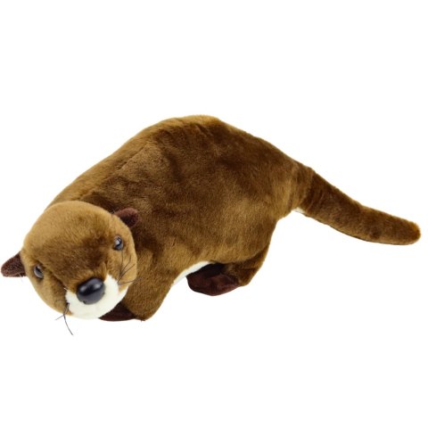 Pluszowa Maskotka Przytulanka Wydra Brązowa 37cm Pluszowa Maskotka Przytulanka Wydra Brązowa 37cm