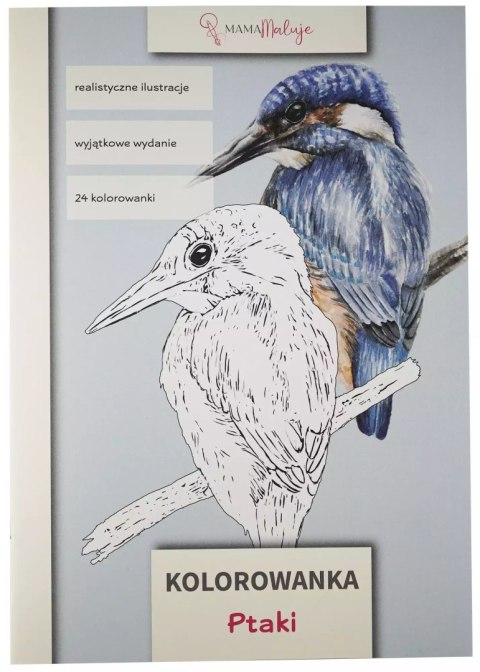 Kolorowanka Ptaki Kolorowanka Ptaki