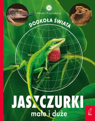 Młodzi przyrodnicy. Dookoła świata. Jaszczurki małe i duże