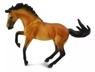 Ogier lusitano buckskin XL