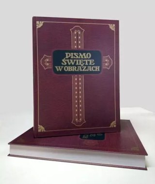 Pismo Święte w obrazach. Dzieje Starego i Nowego Testamentu