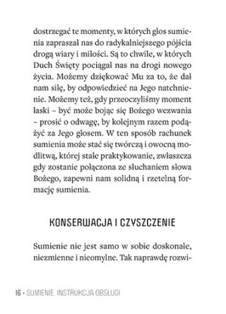Sumienie. Instrukcja obsługi