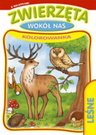 Zwierzęta wokół nas z naklejkami 855