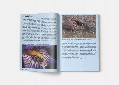 Atlas owadów Atlas owadów