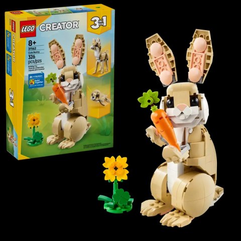 LEGO Creator 3 w 1 31162