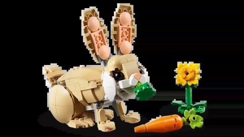 LEGO Creator 3 w 1 31162
