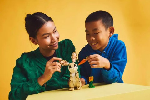 LEGO Creator 3 w 1 31162