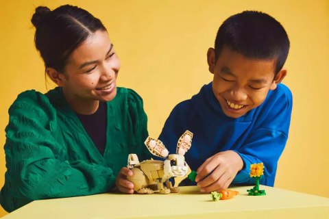 LEGO Creator 3 w 1 31162