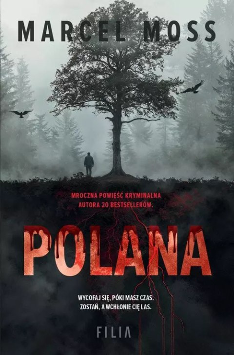 Polana Polana