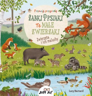 Żabki i psiaki. Te małe zwierzaki. Zwierzęta i ich młode
