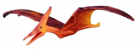 Dinozaur Pteranodon M Dinozaur Pteranodon M