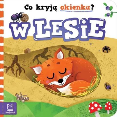 Co kryją okienka w lesie Co kryją okienka w lesie
