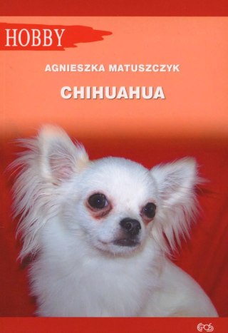 Chihuahua, wydanie 2