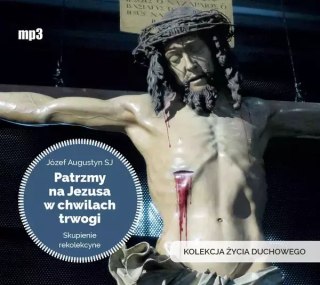 Patrzmy na Jezusa w chwilach trwogi. Audiobook