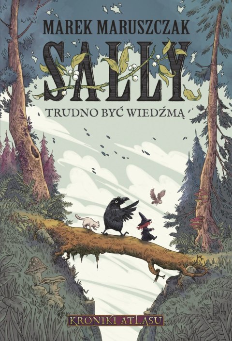 Sally. Trudno być wiedźmą Sally. Trudno być wiedźmą