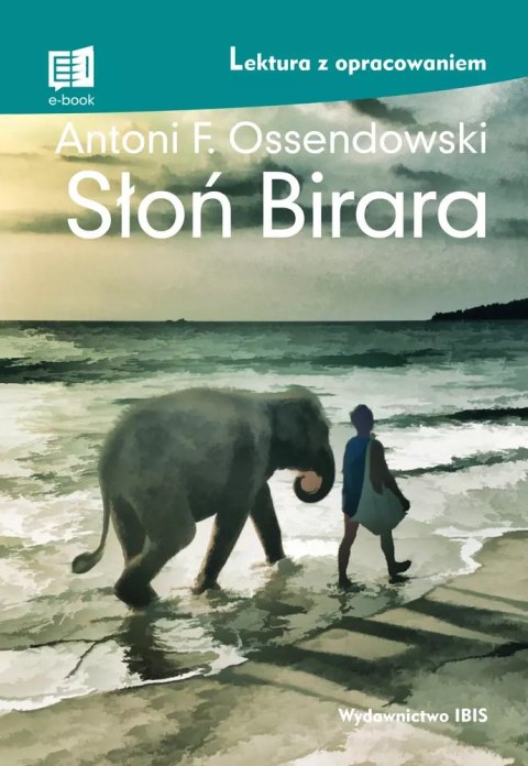 Słoń Birara Słoń Birara