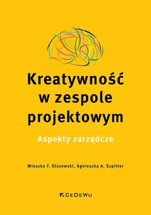 Kreatywność w zespole projektowym. Aspekty zarządcze Kreatywność w zespole projektowym. Aspekty zarządcze