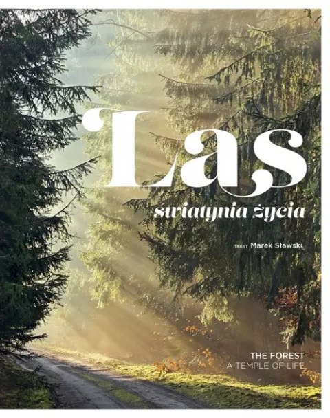 Las. Świątynia życia Las. Świątynia życia