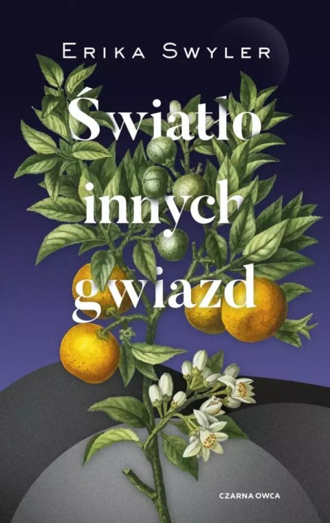 Światło innych gwiazd Światło innych gwiazd
