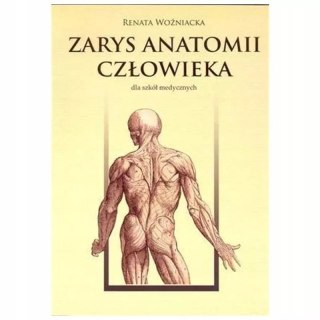 Zarys anatomii człowieka