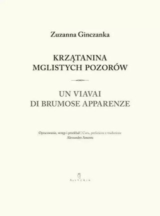 Krzątanina mglistych pozorów. Wiersze Wybrane