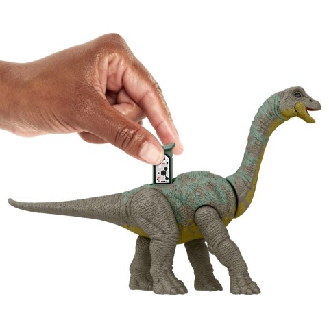 JURASSIC WORLD CHAOS THEORY EPIC EVOLUTIONS DINOZAUR Apatosaurus