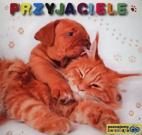 Poznajemy zwierzęta. Przyjaciele Poznajemy zwierzęta. Przyjaciele