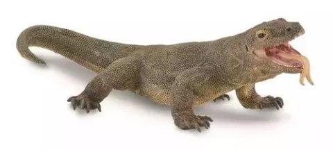 Waran z Komodo Waran z Komodo