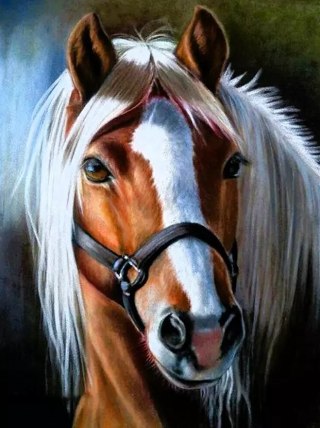 DUŻY HAFT DIAMENTOWY KOŃ KONIE 80X40 XXL DIAMOND PAITING OGROMNY WIELKI