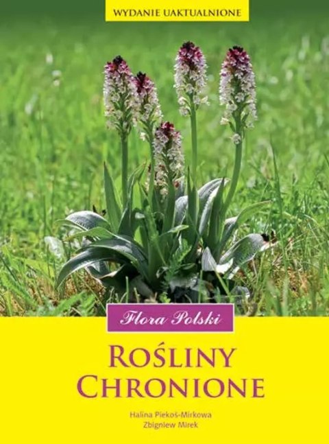 Rośliny chronione. Flora Polski Rośliny chronione. Flora Polski