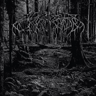 2005 Demo LP, Winyl