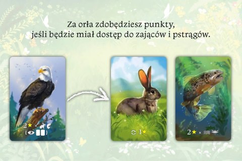Ekosystem