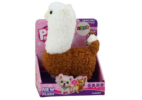Lama Interaktywne Zwierzątko Alpaka Brązowa Chodzi Gra 23 cm Lama Interaktywne Zwierzątko Alpaka Brązowa Chodzi Gra 23 cm