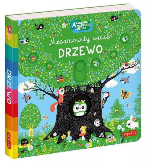 Akademia Mądrego Dziecka. Niesamowity spacer. Drzewo