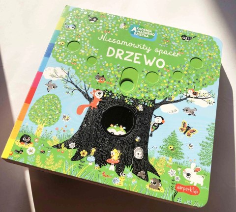 Akademia Mądrego Dziecka. Niesamowity spacer. Drzewo