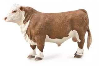 Byk rasy Hereford