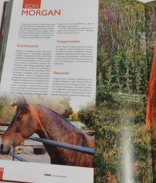 Ilustrowany leksykon koni świata
